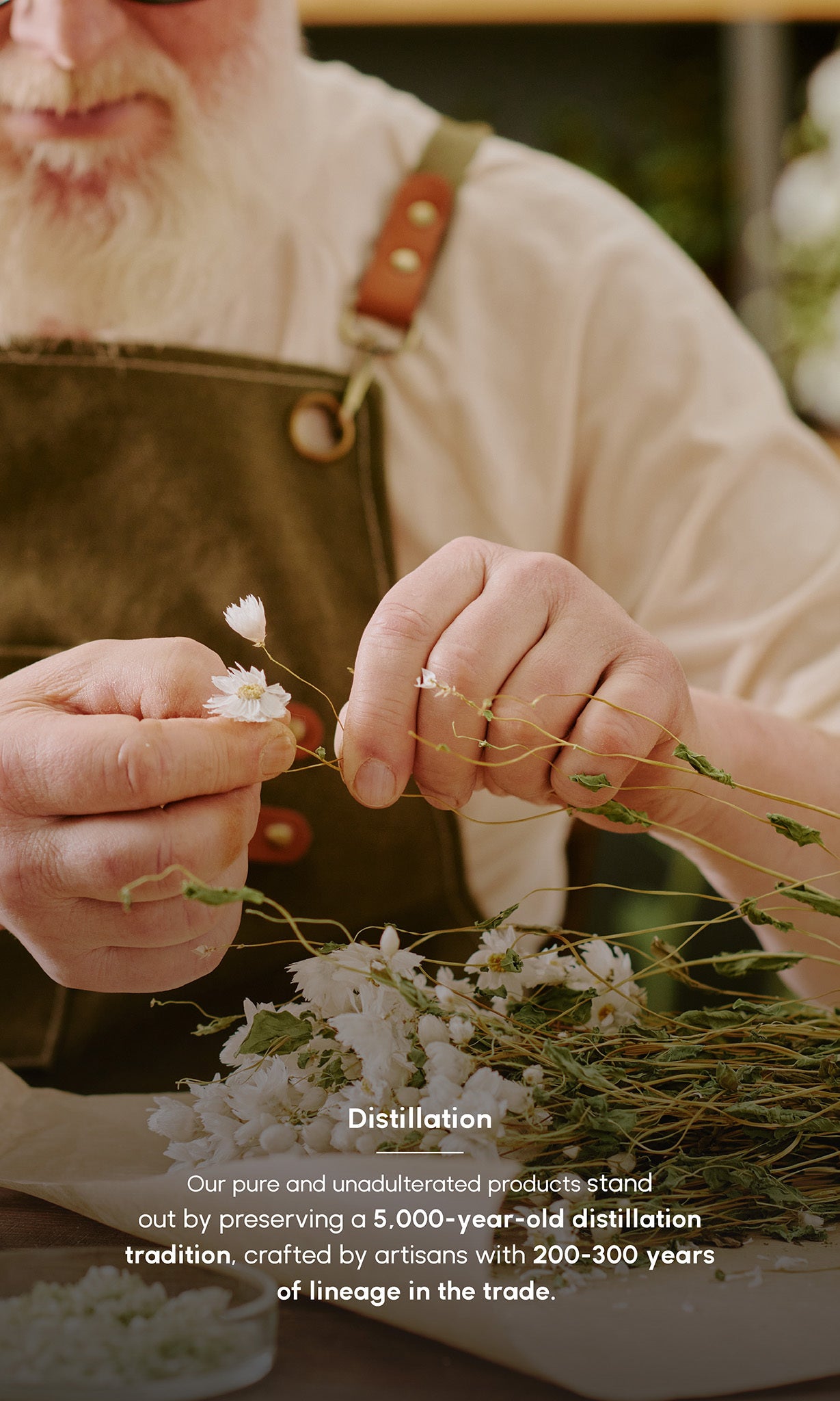 Jasmine Oil