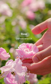 Rose Oil